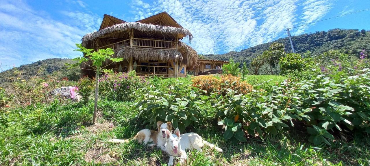 Ecohotel Soplo Del Tambo Cocorná Exteriör bild