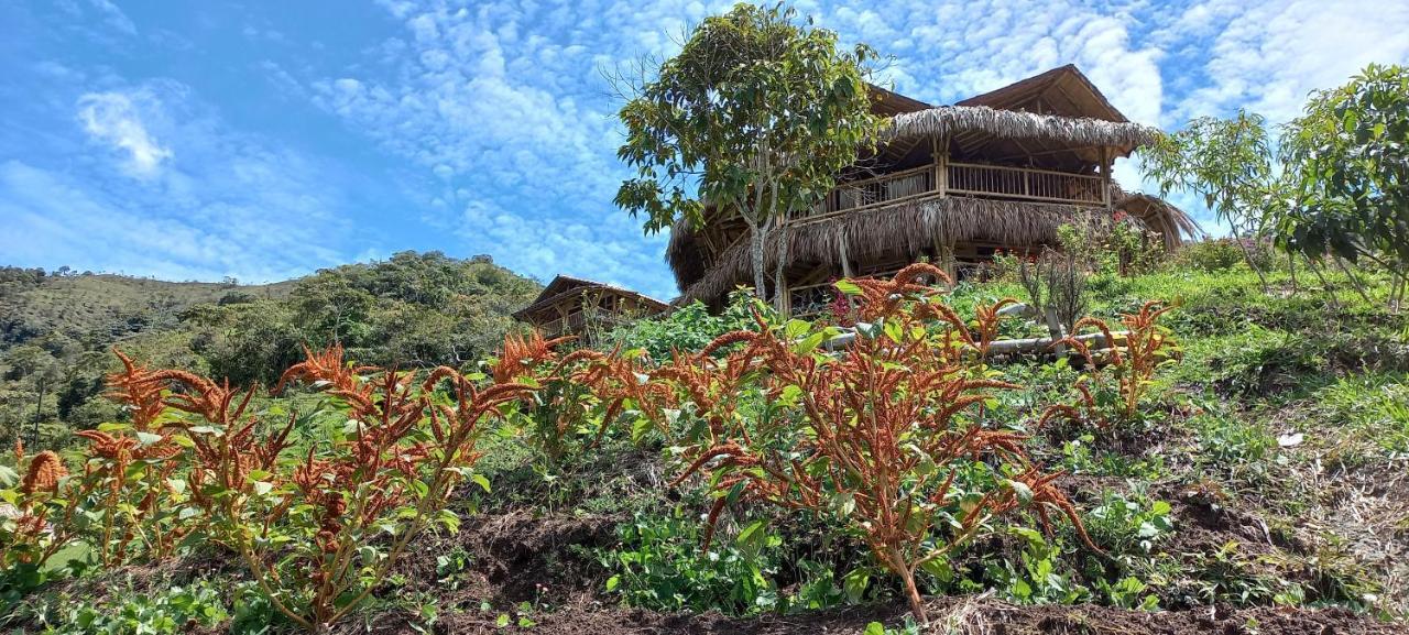 Ecohotel Soplo Del Tambo Cocorná Exteriör bild